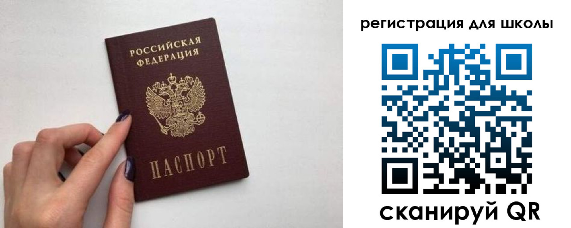 прописка поиск в Куровском